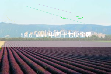 商水中国十七块金牌