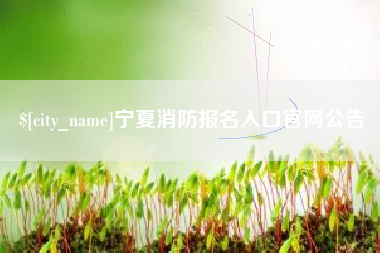 商水宁夏消防报名入口官网公告