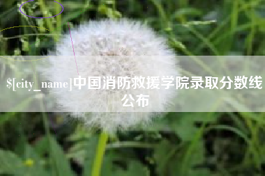 商水中国消防救援学院录取分数线公布