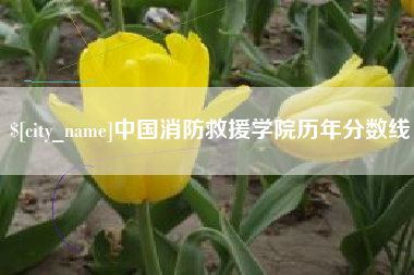 商水中国消防救援学院历年分数线