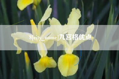 商水九宫格优点