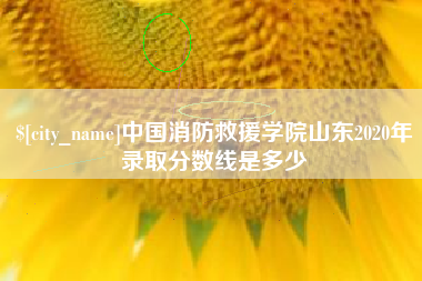 商水中国消防救援学院山东2020年录取分数线是多少