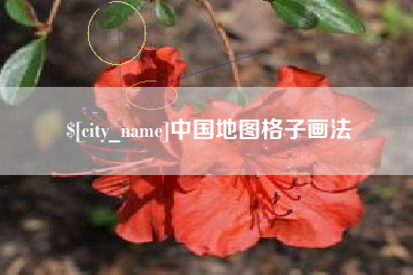商水中国地图格子画法