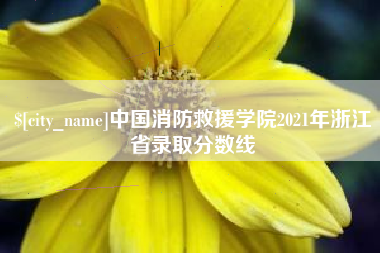 商水中国消防救援学院2021年浙江省录取分数线