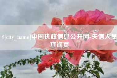 商水中国执政信息公开网-失信人员查询页
