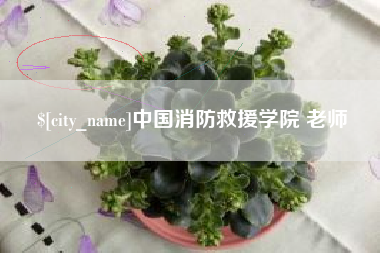 商水中国消防救援学院 老师