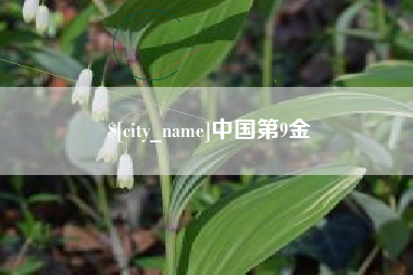 商水中国第9金
