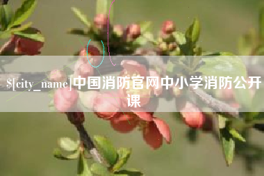 商水中国消防官网中小学消防公开课