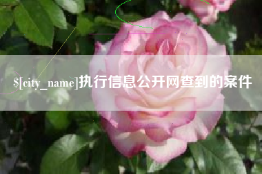 商水执行信息公开网查到的案件