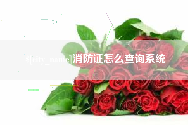 商水消防证怎么查询系统