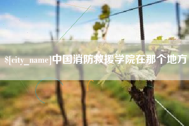 商水中国消防救援学院在那个地方