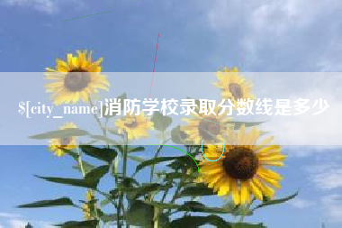 商水消防学校录取分数线是多少