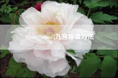 商水九宫排盘方法