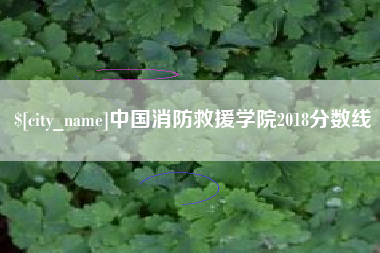商水中国消防救援学院2018分数线