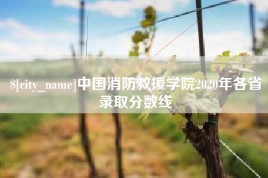 商水中国消防救援学院2020年各省录取分数线