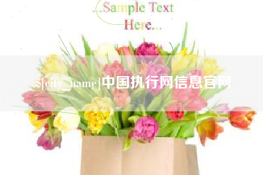 商水中国执行网信息官网