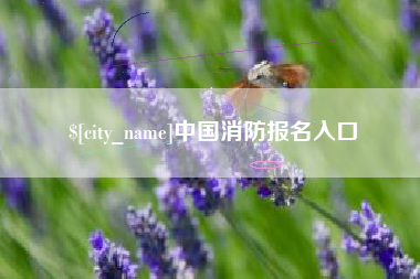 商水中国消防报名入口