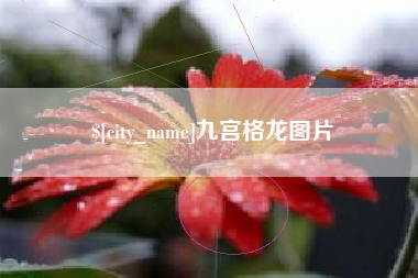 商水九宫格龙图片