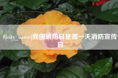 商水我国消防日是哪一天消防宣传日