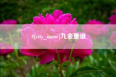 商水九金是谁