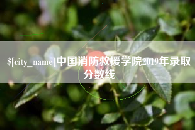 商水中国消防救援学院2019年录取分数线