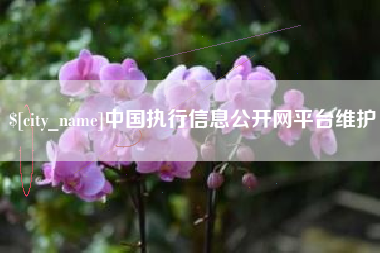 商水中国执行信息公开网平台维护