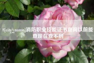商水消防职业技能证书查询以前能查现在查不到
