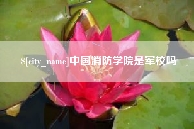 商水中国消防学院是军校吗