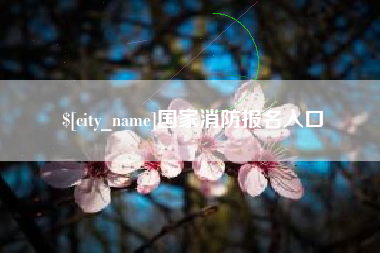 商水国家消防报名入口