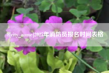 商水2025年消防员报名时间表格