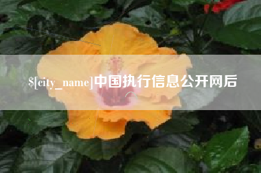 商水中国执行信息公开网后