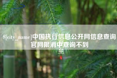 商水中国执行信息公开网信息查询官网限消中查询不到