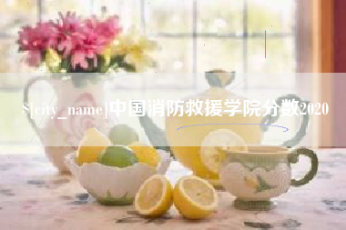 商水中国消防救援学院分数2020