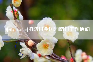 商水消防日全国消防日主题活动