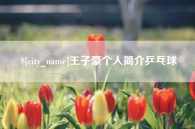 商水王子豪个人简介乒乓球