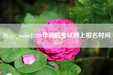 商水2020年消防考试网上报名时间