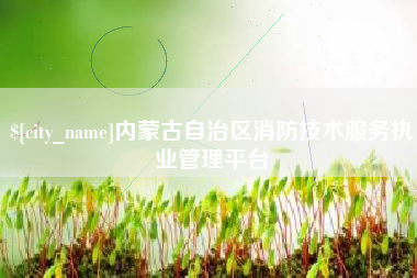 商水内蒙古自治区消防技术服务执业管理平台