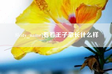 商水看看王子豪长什么样