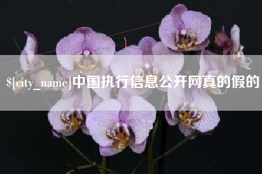 商水中国执行信息公开网真的假的
