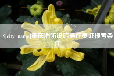 商水重庆消防设施操作员证报考条件