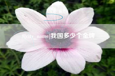 商水我国多少个金牌