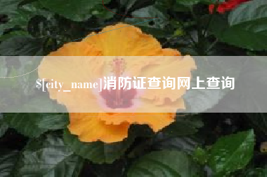 商水消防证查询网上查询