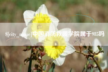 商水中国消防救援学院属于985吗