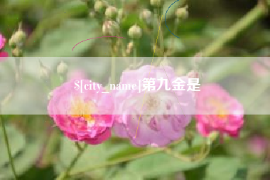 商水第九金是