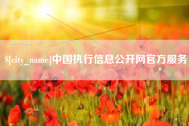 商水中国执行信息公开网官方服务