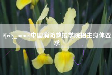 商水中国消防救援学院招生身体要求