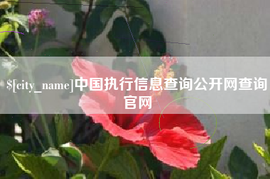 商水中国执行信息查询公开网查询官网