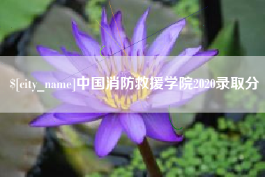 商水中国消防救援学院2020录取分