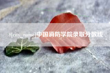 商水中国消防学院录取分数线