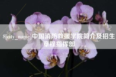 商水中国消防救援学院简介及招生章程指挥部